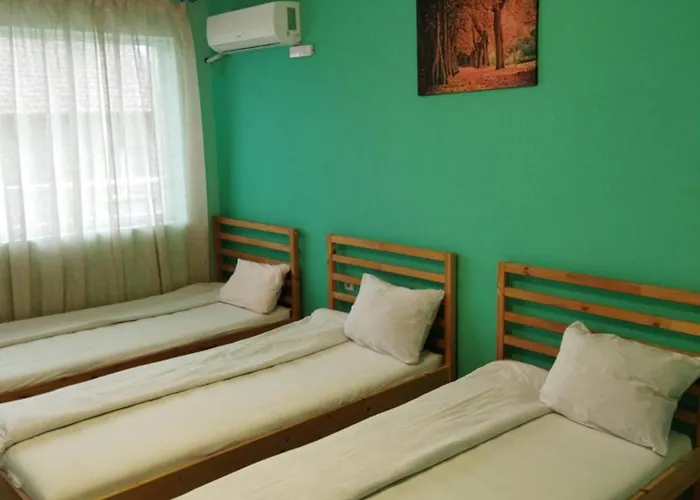 за гости деметра ソフィア