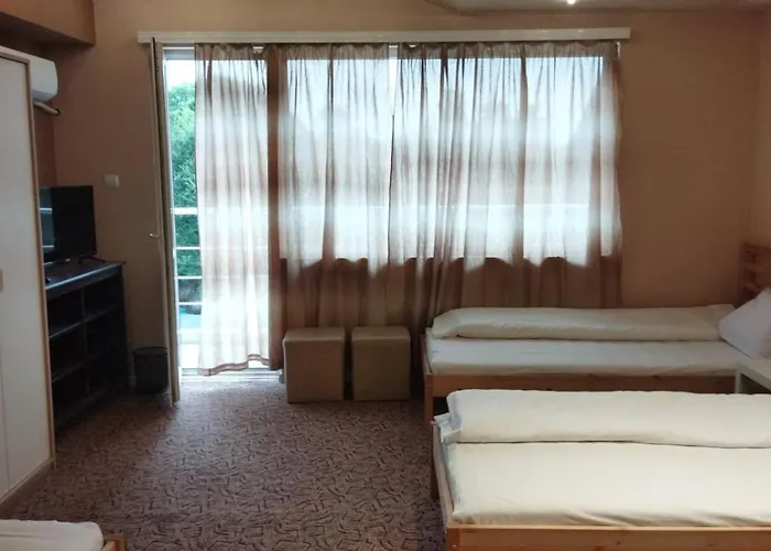 за гости деметра ソフィア