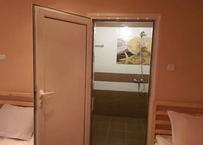 за гости деметра ソフィア